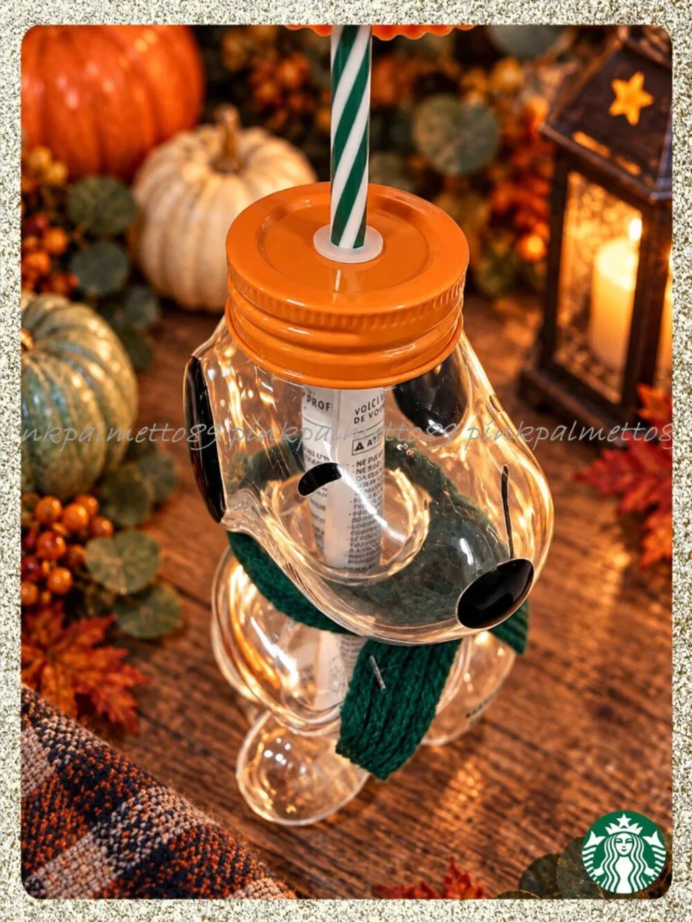 🍂🎃🥜 NWT/NIB 2026 PEANUTS + Starbucks Snoopy Glass 20oz Cold Cup